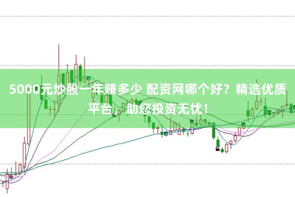 5000元炒股一年赚多少 配资网哪个好？精选优质平台，助您投资无忧！