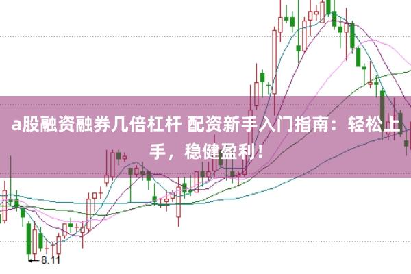 a股融资融券几倍杠杆 配资新手入门指南：轻松上手，稳健盈利！