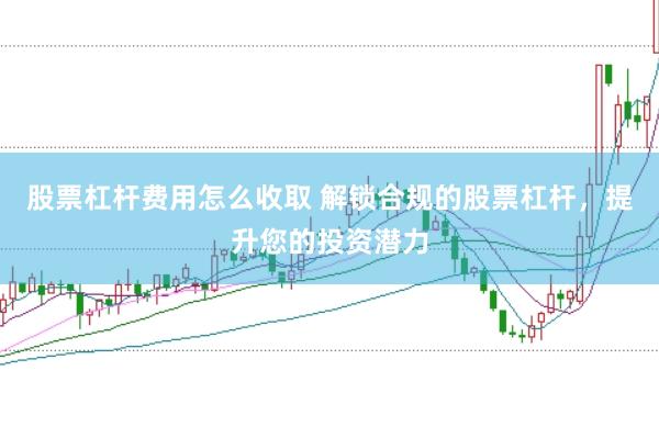 股票杠杆费用怎么收取 解锁合规的股票杠杆，提升您的投资潜力