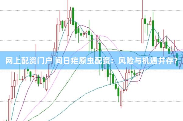 网上配资门户 间日疟原虫配资：风险与机遇并存？
