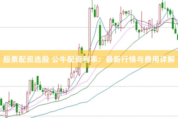 股票配资选股 公牛配资利率：最新行情与费用详解