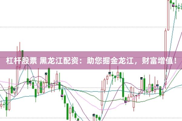 杠杆股票 黑龙江配资：助您掘金龙江，财富增值！