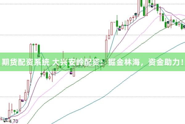 期货配资系统 大兴安岭配资：掘金林海，资金助力！
