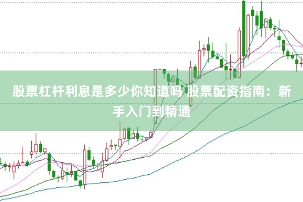股票杠杆利息是多少你知道吗 股票配资指南：新手入门到精通