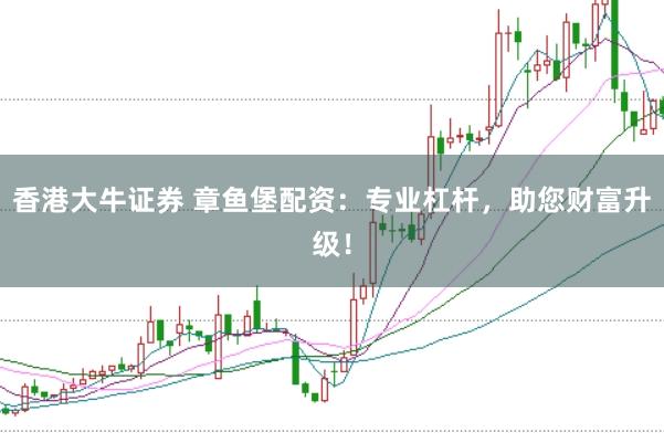 香港大牛证券 章鱼堡配资：专业杠杆，助您财富升级！