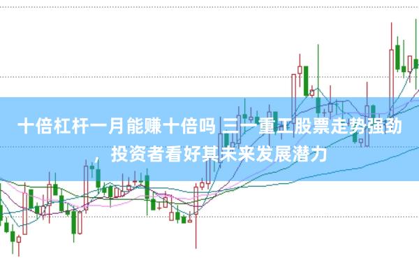 十倍杠杆一月能赚十倍吗 三一重工股票走势强劲，投资者看好其未来发展潜力