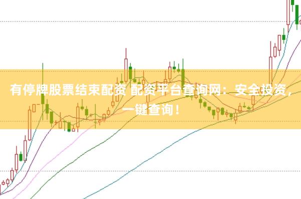 有停牌股票结束配资 配资平台查询网：安全投资，一键查询！
