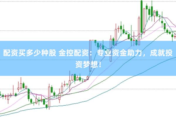 配资买多少种股 金控配资：专业资金助力，成就投资梦想！