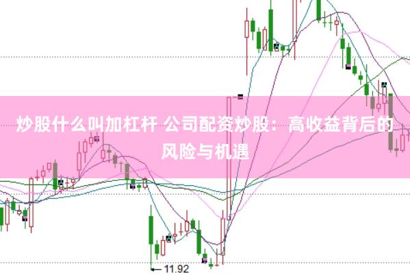 炒股什么叫加杠杆 公司配资炒股：高收益背后的风险与机遇