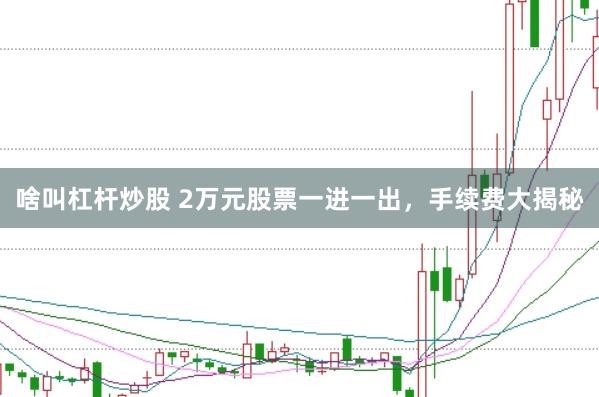 啥叫杠杆炒股 2万元股票一进一出，手续费大揭秘