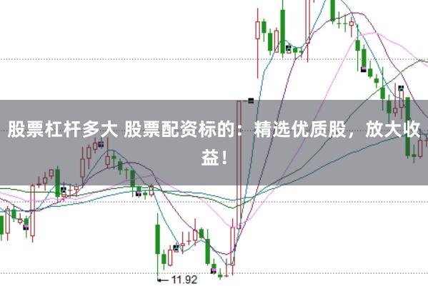 股票杠杆多大 股票配资标的：精选优质股，放大收益！