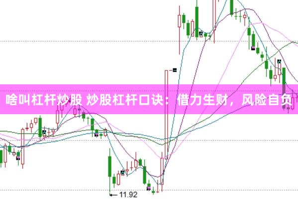 啥叫杠杆炒股 炒股杠杆口诀：借力生财，风险自负