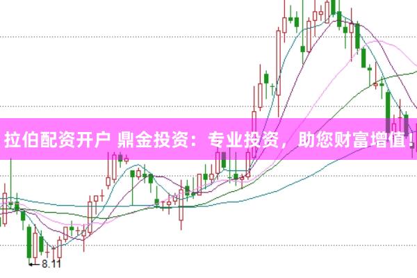 拉伯配资开户 鼎金投资：专业投资，助您财富增值！