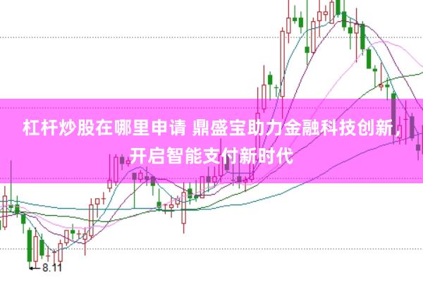 杠杆炒股在哪里申请 鼎盛宝助力金融科技创新，开启智能支付新时代