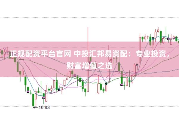 正规配资平台官网 中投汇邦易资配：专业投资，财富增值之选