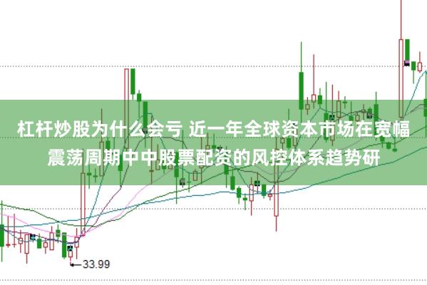 杠杆炒股为什么会亏 近一年全球资本市场在宽幅震荡周期中中股票配资的风控体系趋势研