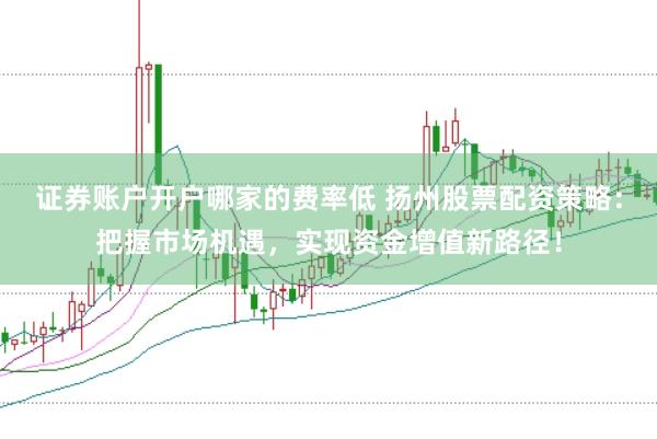 证券账户开户哪家的费率低 扬州股票配资策略:把握市场机遇,实现资金增值新路径!