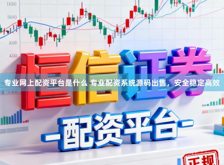专业网上配资平台是什么 专业配资系统源码出售，安全稳定高效