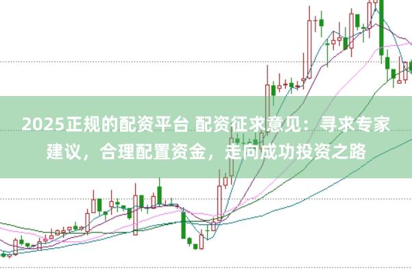 2025正规的配资平台 配资征求意见：寻求专家建议，合理配置资金，走向成功投资之路